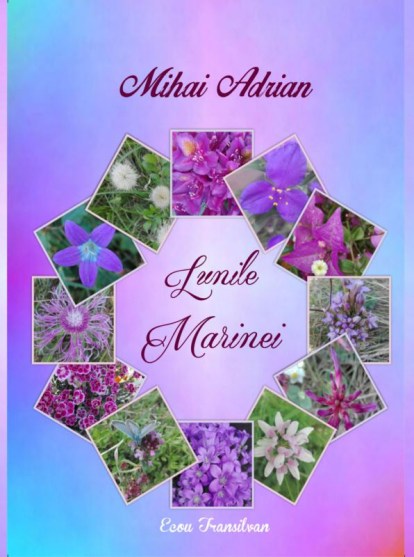 mihai adrian lunile marinei